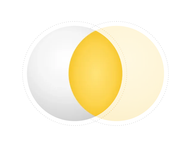 Two circles overlapping; the shared area is solid yellow.